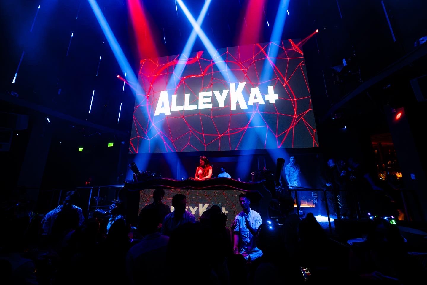 From Joy to Reflection: The Evolution of Alleykat s Existence — EDM Army news cover image