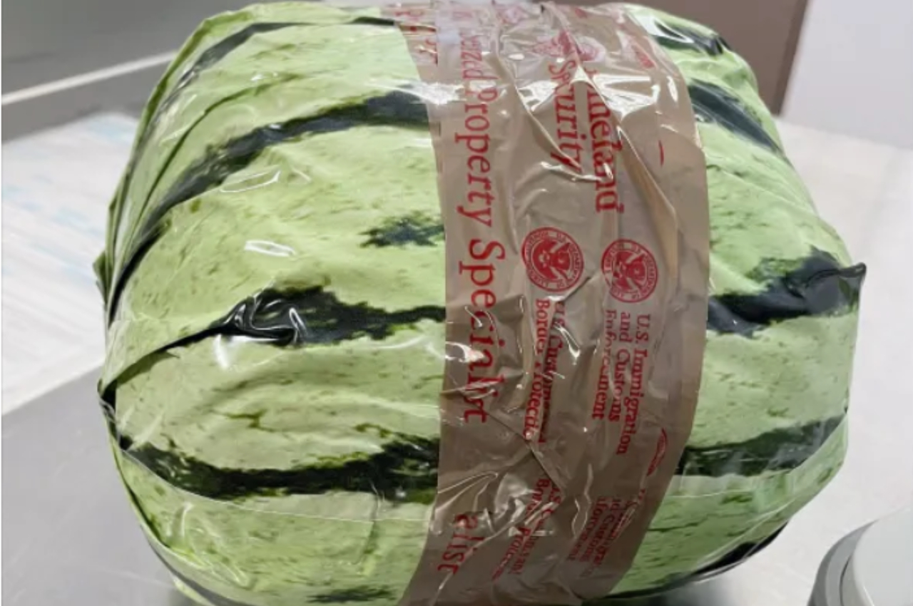 $5 Million Worth of Meth Found Hidden in Fake Watermelons at US-Mexico Border — EDM Army news cover image